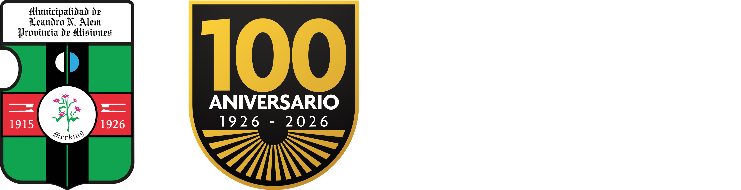 Leandro N. Alem — Rumbo al Centenario